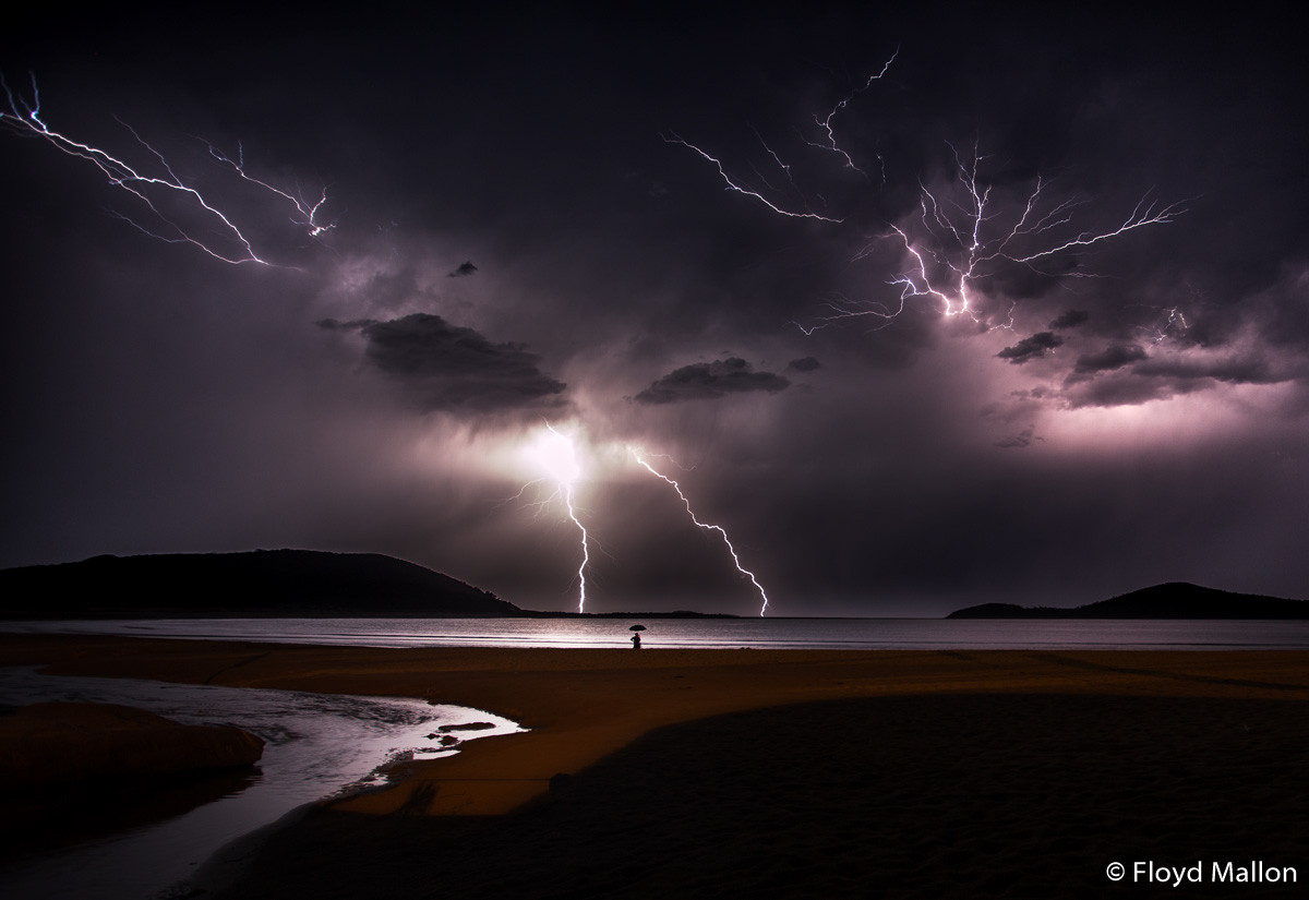 Победители Australian Geographic Nature Photographer of the Year 2019 Победители Australian Geographic Nature Photographer of the Year 2019