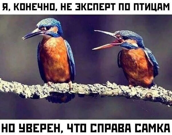 Прикольные картинки
