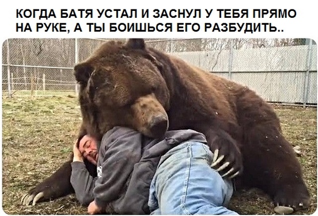 Прикольные картинки
