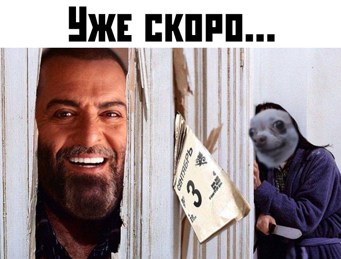 Прикольные картинки
