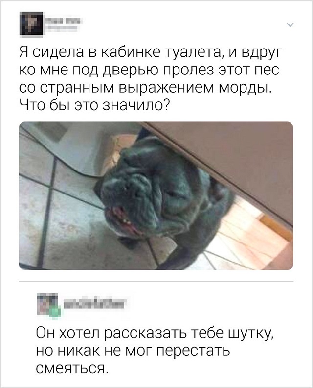 Ох, нелегкая эта работа - в комментариях шутить