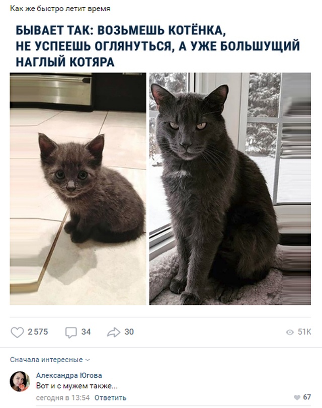 Комментарии пользователей социальных сетей с чувством юмора