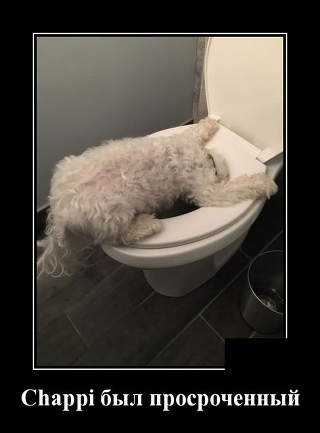 Демотиваторы