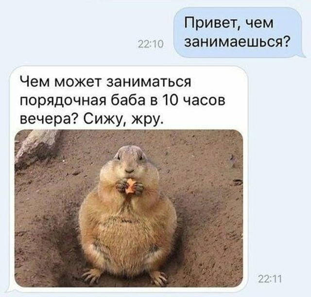 Прикольные картинки