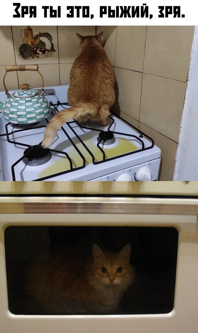 Прикольные картинки