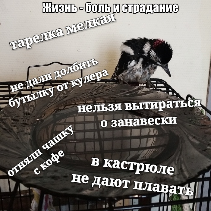 Прикольные картинки