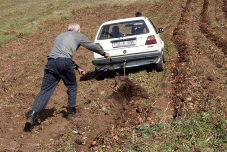 Прикольные картинки