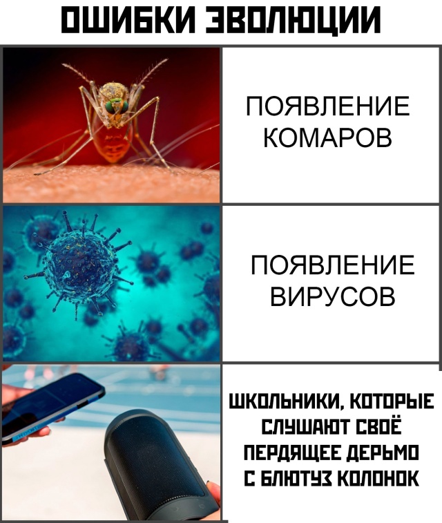 Прикольные картинки