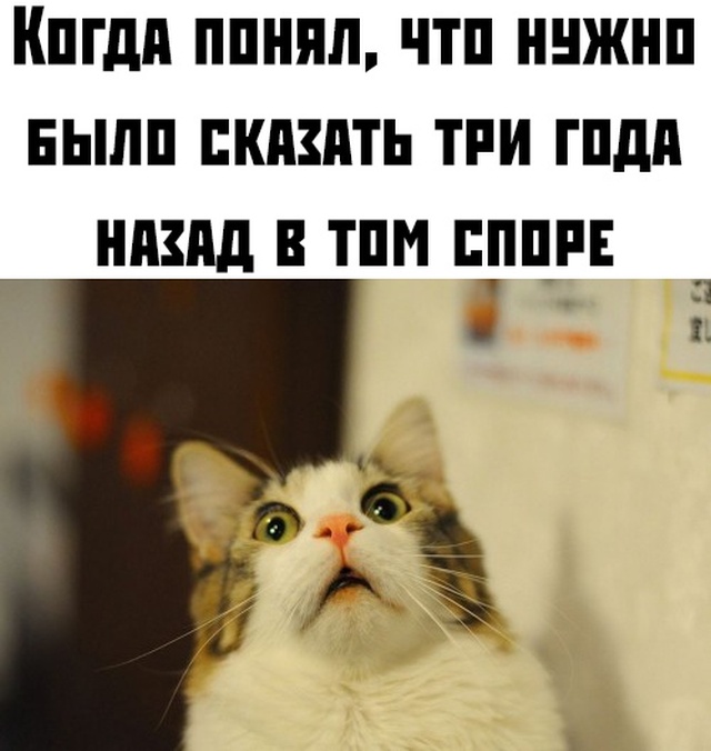 Прикольные картинки