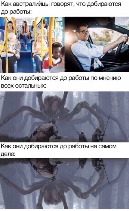 Забавные картинки
