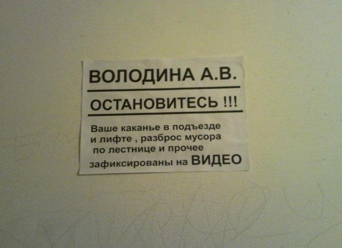 Забавные картинки