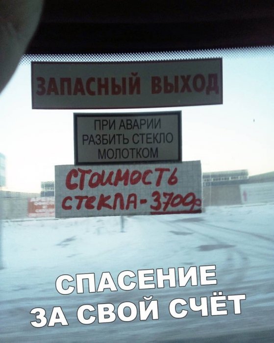 Забавные картинки