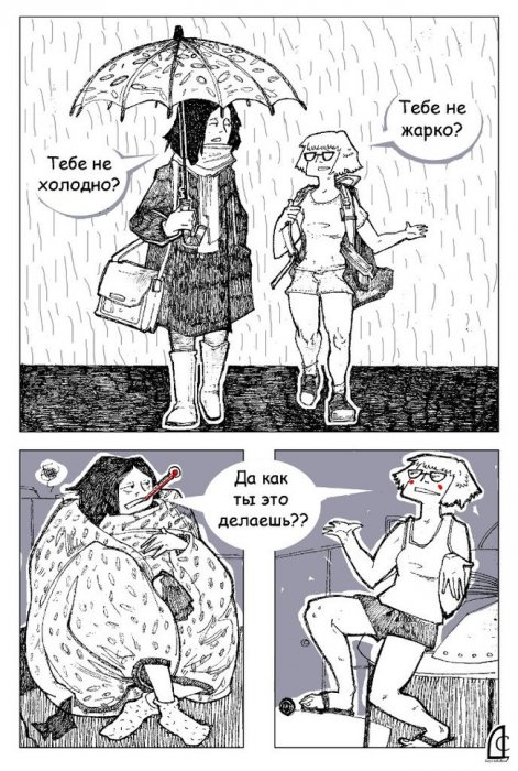 Забавные картинки