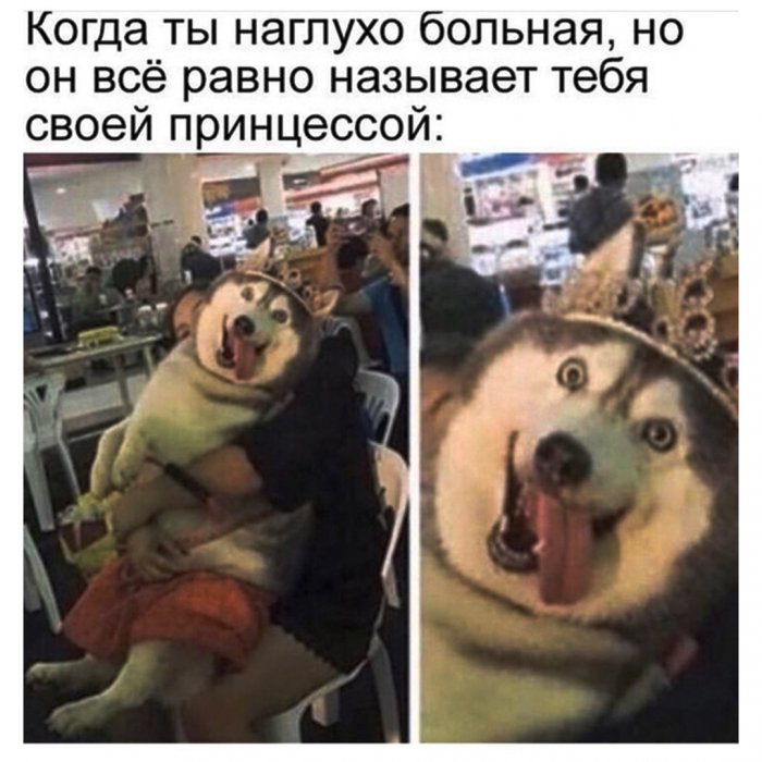 Забавные картинки