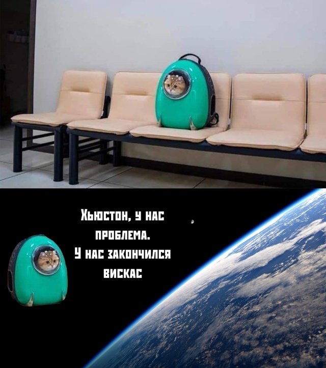 Прикольные картинки