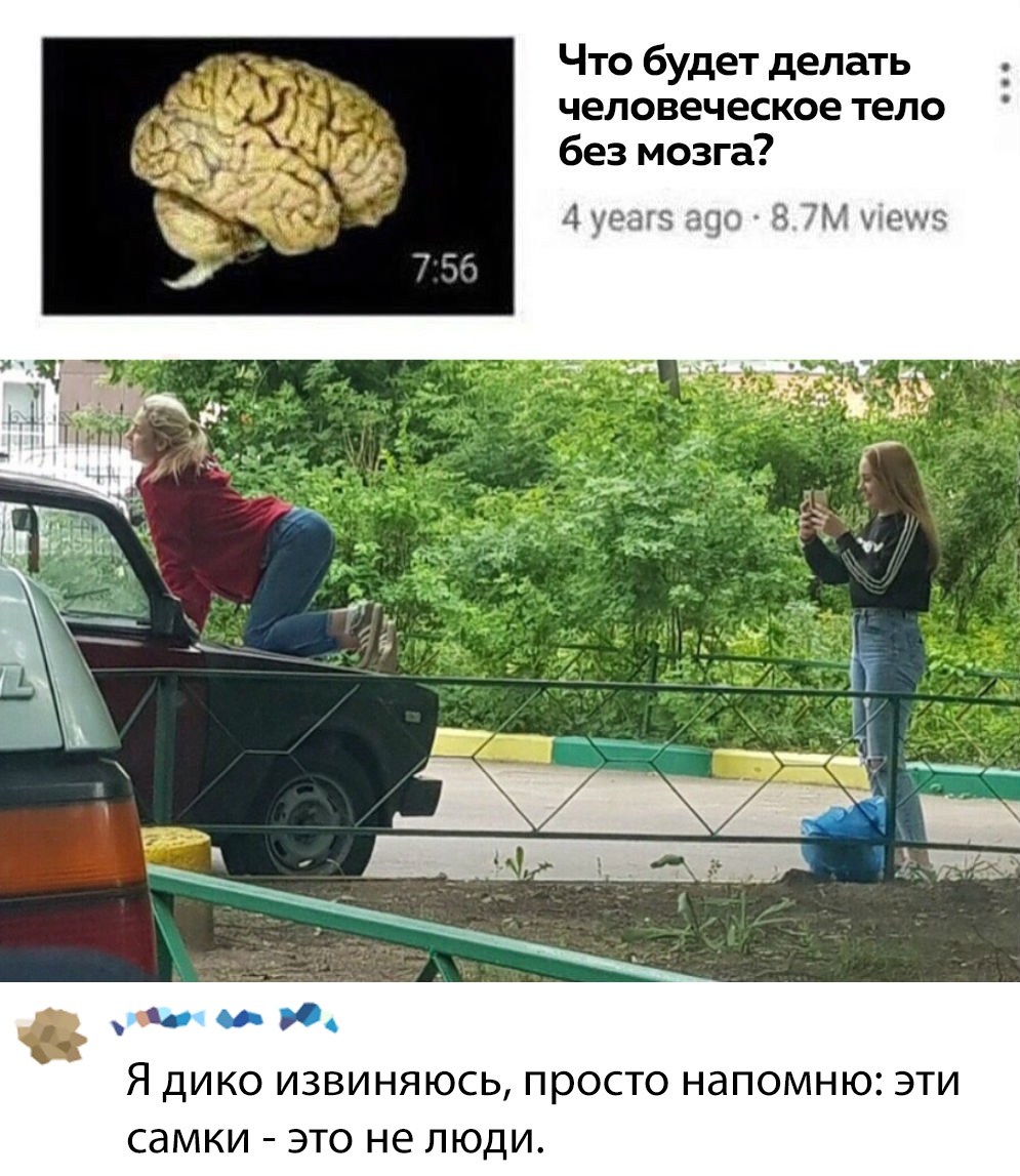 Прикольные картинки