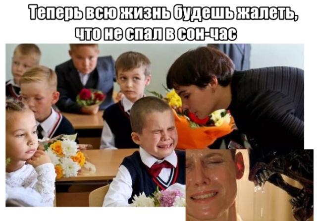 Прикольные картинки