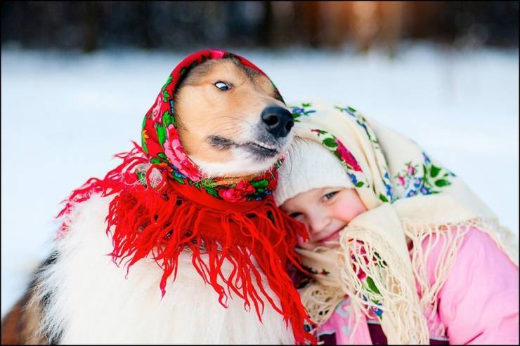 Прикольные картинки