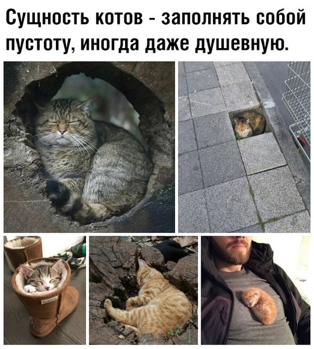 Прикольные картинки