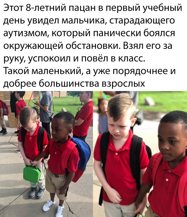 Прикольные картинки