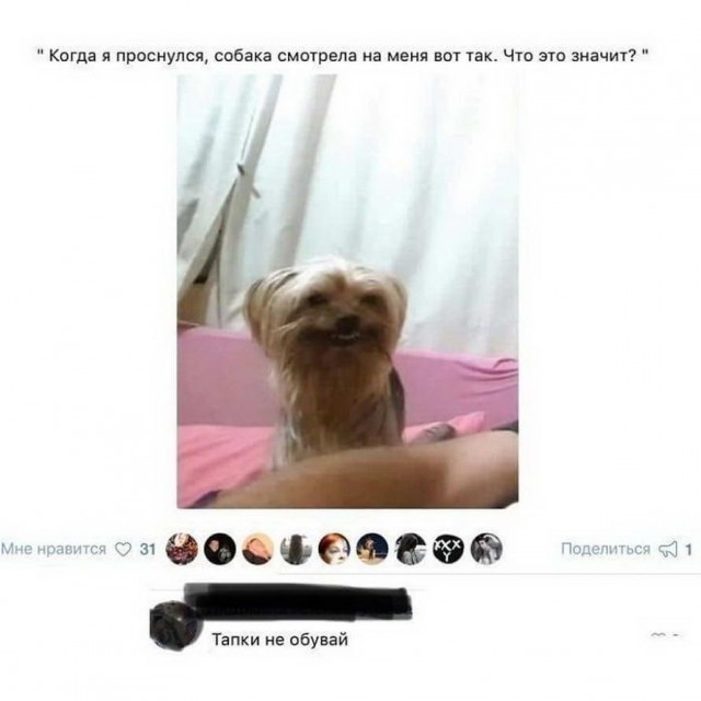 Прикольные картинки