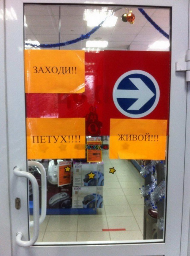Прикольные картинки