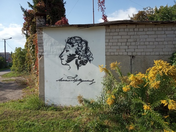 Фотографии с бескрайних просторов