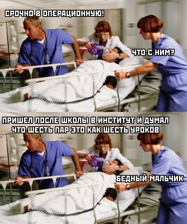 Прикольные картинки