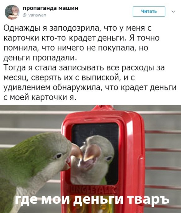 Прикольные картинки