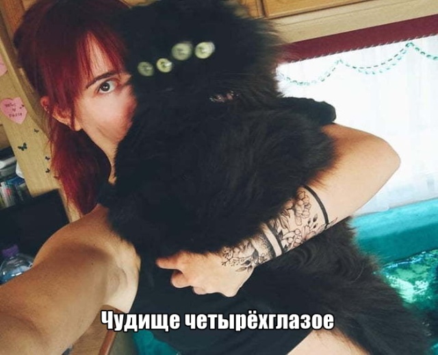 Прикольные картинки