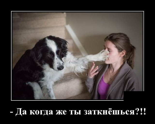 Демотиваторы