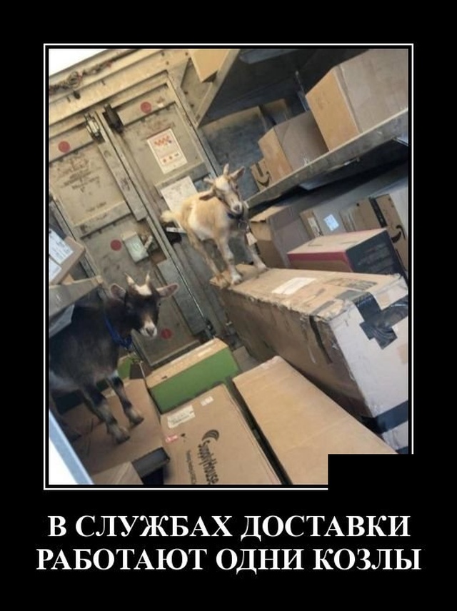 Демотиваторы