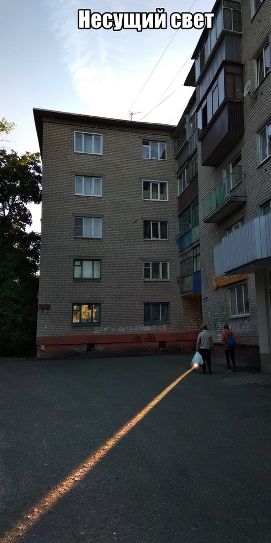 Прикольные картинки