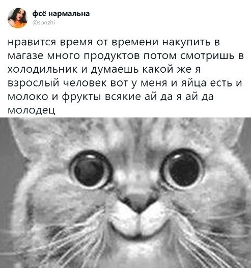 Прикольные картинки
