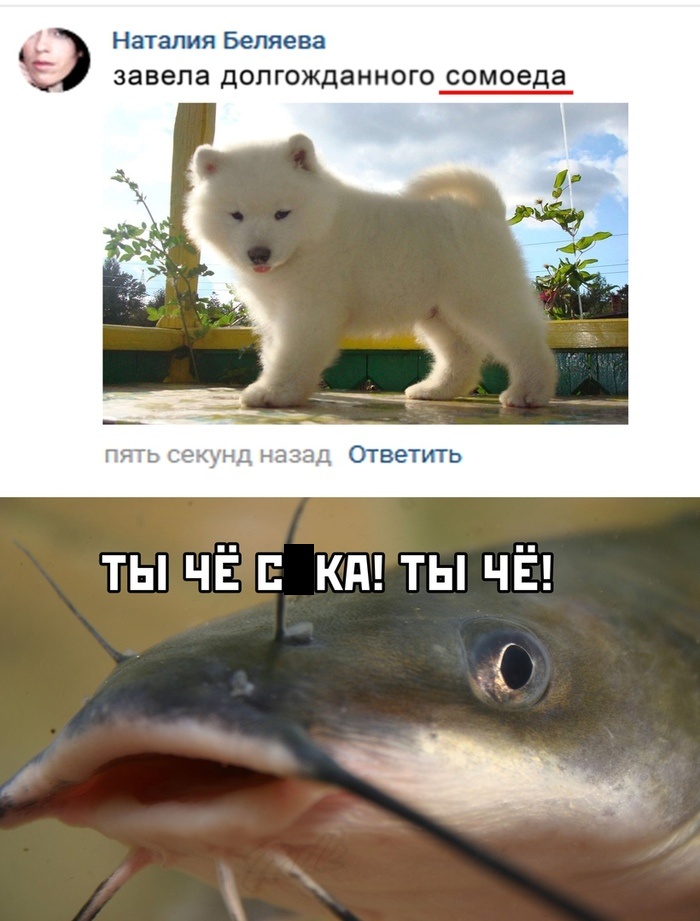 Прикольные картинки