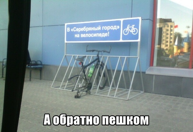 Прикольные картинки