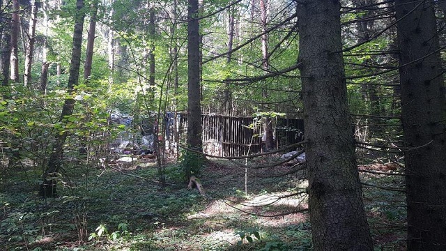 Найдено убежище грабителя, напавшего на Эллу Памфилову