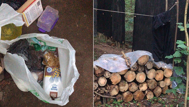 Найдено убежище грабителя, напавшего на Эллу Памфилову