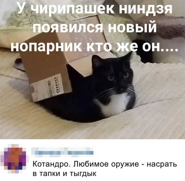 Прикольные картинки