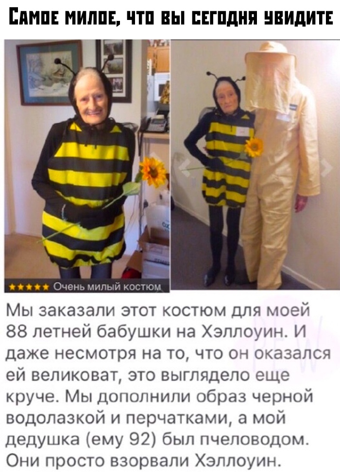 Прикольные картинки