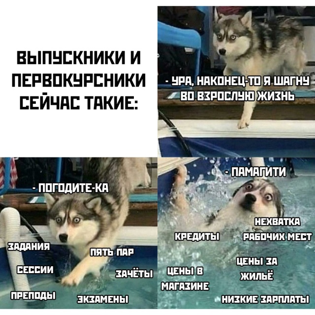 Прикольные картинки