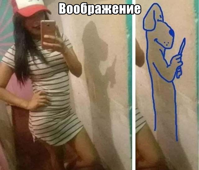 Прикольные картинки