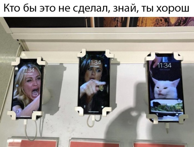 Прикольные картинки
