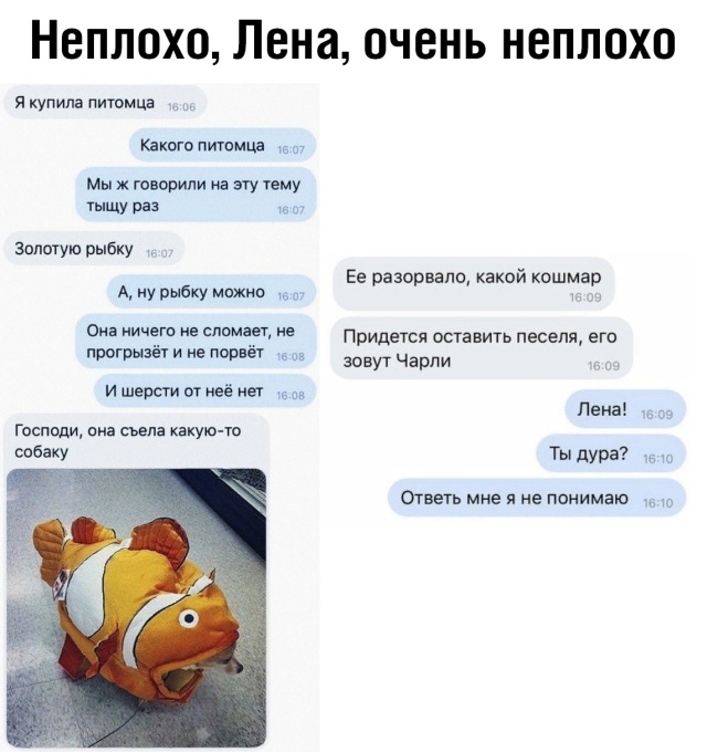 Прикольные картинки