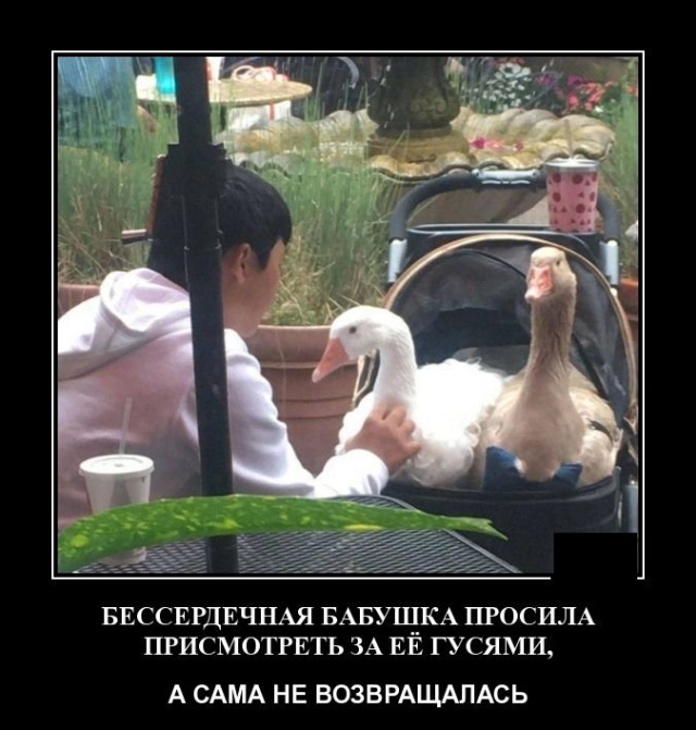 Демотиваторы