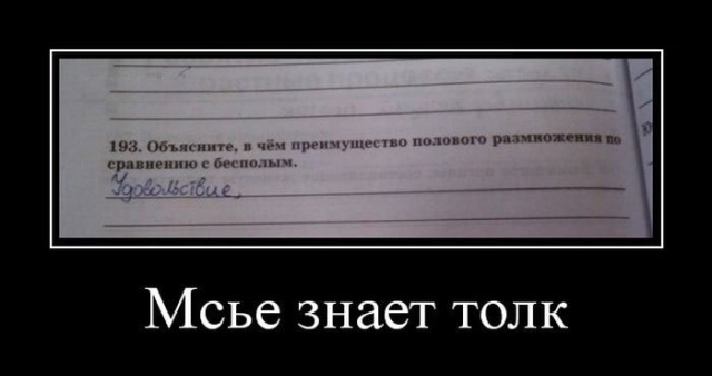 Демотиваторы