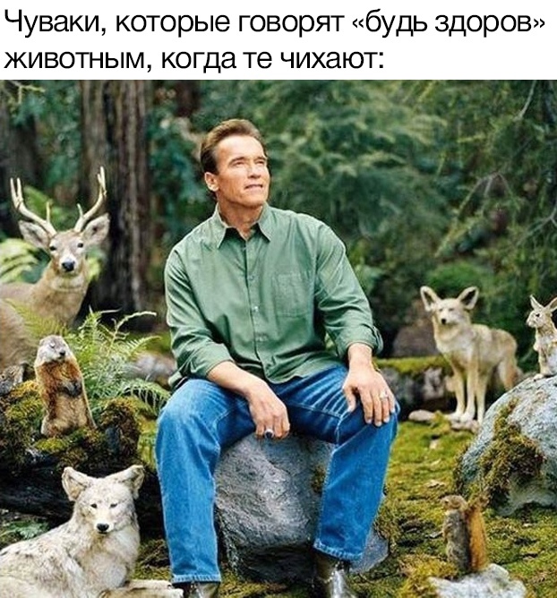Прикольные картинки