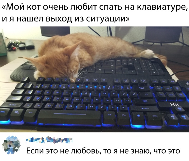 Прикольные картинки