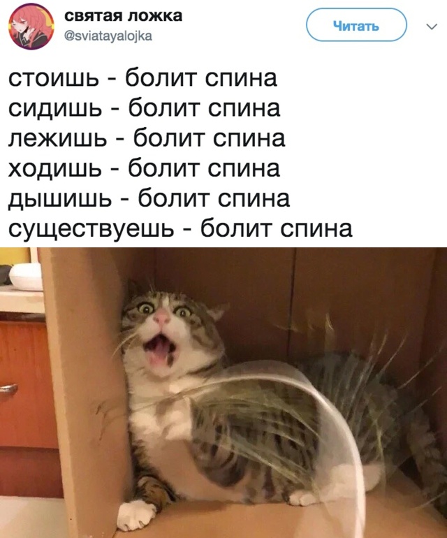 Прикольные картинки