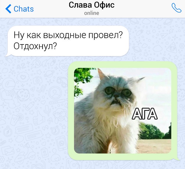 Новая порция забавных переписок
